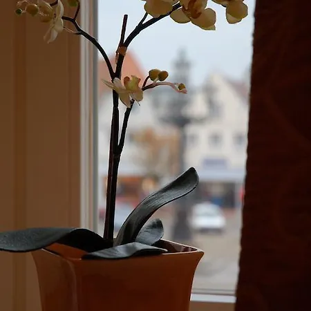 Und Restaurant Der Dane 3* Glückstadt